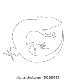 Beautiful  monochrome lizard, lizard silhouette. outline picture salamander. Vector illustration