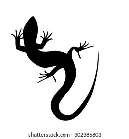 Beautiful  monochrome lizard, lizard silhouette. Vector illustration