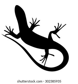 Beautiful  monochrome lizard, lizard silhouette. Vector illustration