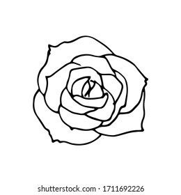 Beautiful monochrome rose isolated on white background. Hand-drawn contour line. Element for creating a design, can be used on postcards, invitations of wedding, birthday, flyers, posters, advertising