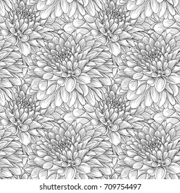 beautiful monochrome seamless background black and white dahlias Hand-drawn. Design for greeting cards and invitations of wedding, birthday, Valentine s Day, mother s day and other seasonal holiday.