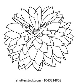 Alekhan Drawing।डहेलिया के फूल, कलियों और पत्तियों से संयोजित आलेखन कक्षा  10 के लिए - YouTube