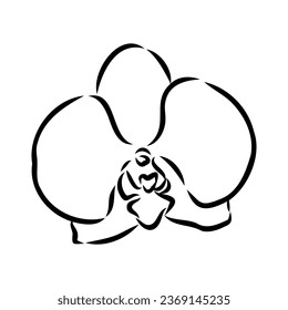 Beautiful monochrome vector orchid branches with flowers orchid, vector sketch