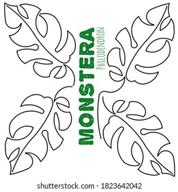 The Beautiful Monster, Everyone is Obsessed With Variegate Monstera, rare and expensive plant, in Indonesia called "Janda Bolong" isolated on white background. Vector Illustration