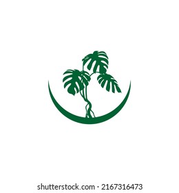 Beautiful Monstera Plant Logo Design