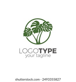 Beautiful Monstera Plant Logo Design