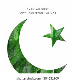 Beautiful Moon Poster. Vector 14 August. Pakistan Independence Day. Celebration Card. Illustration