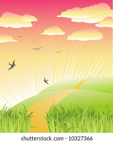 beautiful morning / nature / vector illustration