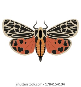 Beautiful motley moth or butterfly. Isolated vector illustration.