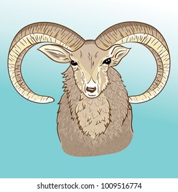 Beautiful Mouflon Vector Illustration Blue Gradient Stock Vector ...