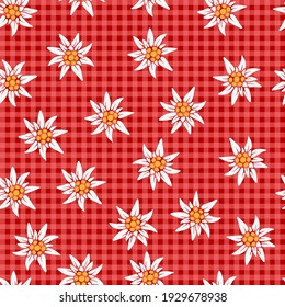 Hermosa flor de montaña. El fondo edelweiss sin foco sobre un fondo rojo a cuadros.  Ilustración vectorial aislada para diseño y web.