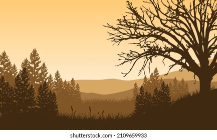 Beautiful mountain view of the countryside at dusk with silhouettes of pine trees around