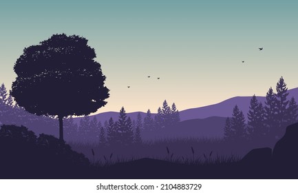 Beautiful mountain view with one very tall pine tree
