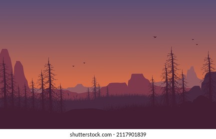 Beautiful mountain view with the silhouette of the pine trees from the village