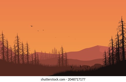 Beautiful mountain views at dusk in the afternoon with the silhouette of pine trees around it. Vector illustration of a city