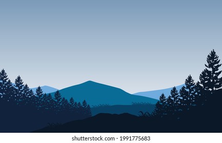 Beautiful Mountain views in the morning with the silhouette of pine trees around. Vector illustration of a city