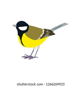 Beautiful multi-colored bird isolated on white background.
