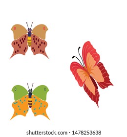 Beautiful and multicolored butterflies isolated on a white background
