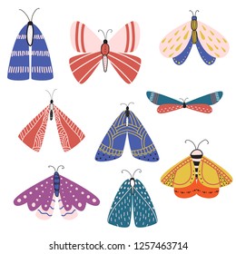 Beautiful, multicolored butterflies and moths with different shapes of wings and patterns on the wings.