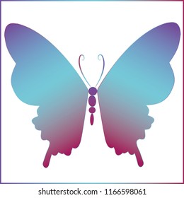 Beautiful multicolored butterfly