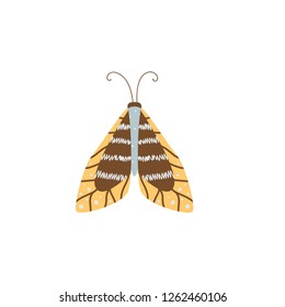 Beautiful, multi-colored butterfly with an unusual shape of the wings and patterns on them.