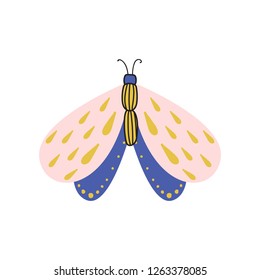 Beautiful, multi-colored butterfly with an unusual shape of the wings and patterns on them.
