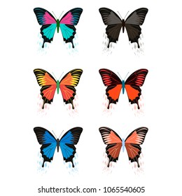 Beautiful, multicolored butterfly, vector image. On a white background.