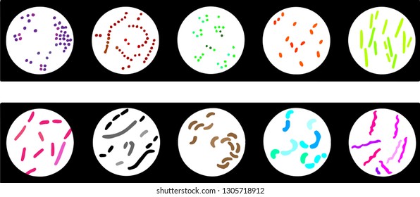 beautiful multi-colored and different forms of bacteria that are visible through a microscope on a white background