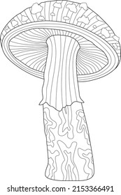 Beautiful mushrooms black and white hand drawing adult coloring page or picture