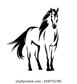 beautiful mustang horse with wind blown mane and tail - standing wild stallion black and white vector outline portrait