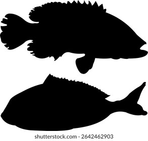 Beautiful and mysterious fish silhouette shapes under the sea