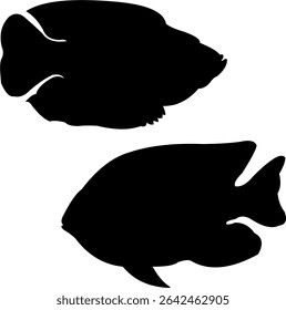 Beautiful and mysterious fish silhouette shapes under the sea