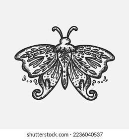 Beautiful, mystical hand drawn vector moth illustration