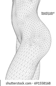 Beautiful naked woman poses. Female Body. 3d wireframe vector.
