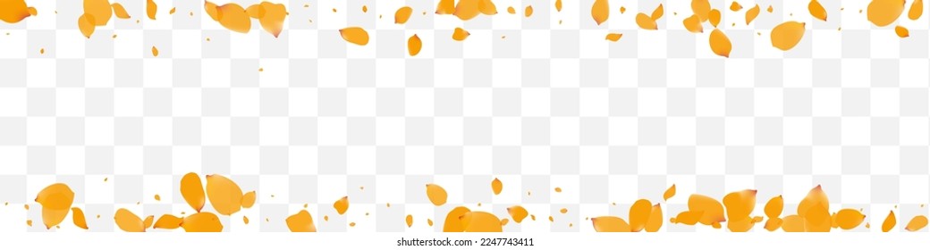 Beautiful Narcissus Beauty Vector Transparent Panoramic Background. Summer Rose Template. Lemon Flower Spring Frame. Yellow Peach Flying Illustration.
