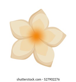 beautiful natural flower icon vector illustration graphic design