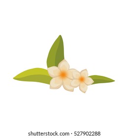 beautiful natural flower icon vector illustration graphic design