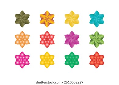 beautiful natural flowers design in white background