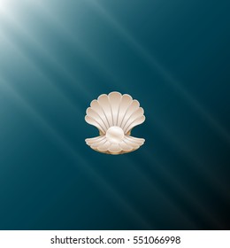 beautiful natural open seashell scallop and pearl shell on a underwater background
