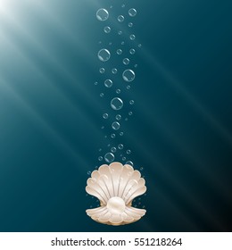 beautiful natural open seashell scallop and pearl shell on a underwater background  with  bubbles