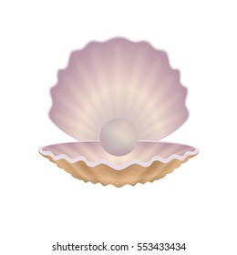 beautiful natural open seashell scallop and pearl shell