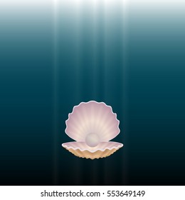 beautiful natural open seashell scallop and pearl shell on a underwater background