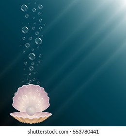 beautiful natural open seashell scallop and pearl shell on a underwater background with bubbles