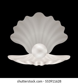 beautiful natural open seashell scallop and pearl shell