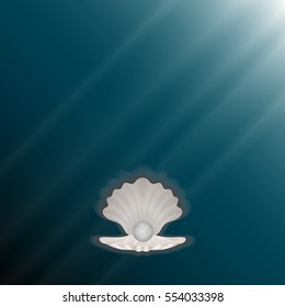 beautiful natural open seashell scallop and pearl shell on a underwater background
