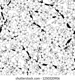 beautiful natural seamless pattern of blossoming apple tree branch