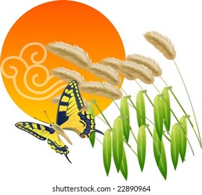 Beautiful Nature