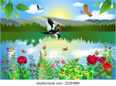 beautiful nature