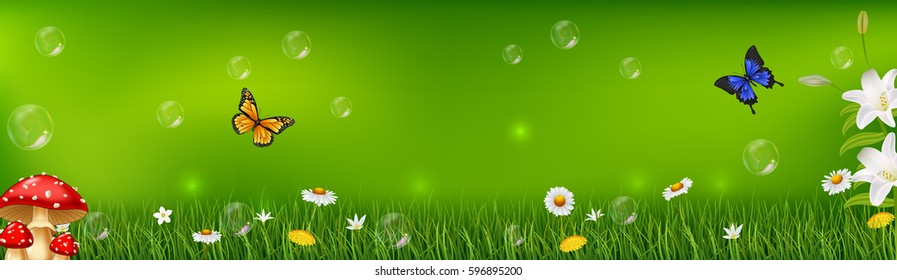 Beautiful nature background
