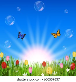 Beautiful nature background